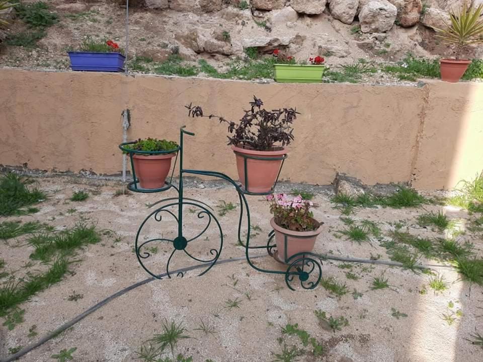 Emile Altwal Madaba Hotel Exterior photo